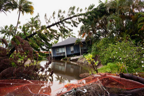 A house surrounded by floodwaters and fallen trees after a storm
