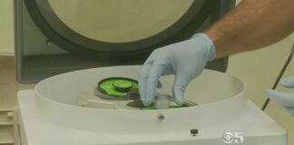 Stanford's Miracle Drug: Arthritis Game-Changer