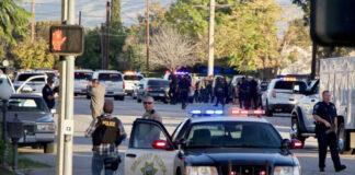 Detroit Police Chief Moves To Fire Officers Accused Of Violating City Policy By Contacting Border Patrol