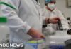 FDA Moves to Accelerate Review of Psychedelic Therapies Following Trump Order