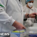 FDA Moves to Accelerate Review of Psychedelic Therapies Following Trump Order