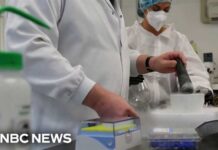 FDA Moves to Accelerate Review of Psychedelic Therapies Following Trump Order