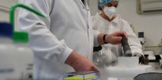 FDA Moves to Accelerate Review of Psychedelic Therapies Following Trump Order