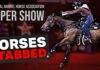 Teen Arrest Sparks Vegas Horse Stabbing Fury Horses Attacked at NBHA Vegas Super Show