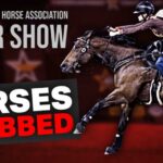 Teen Arrest Sparks Vegas Horse Stabbing Fury Horses Attacked at NBHA Vegas Super Show