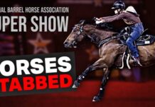 Horses Attacked at NBHA Vegas Super Show