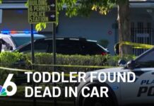 Florida Toddler Dies After Being Left in Hot Minivan; Babysitter at Center of Police Investigation Child found dead in car at preschool, hadn't been dropped off, school says