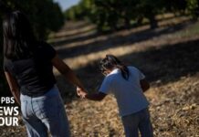 Unaccompanied migrant children at risk of losing legal representation
