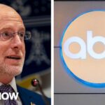 FCC using DEI as 'sword' against Disney, ABC to attack press freedoms