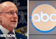 FCC Power Play Targets ABC? FCC using DEI as 'sword' against Disney, ABC to attack press freedoms