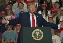 Trump Cheers Punch At Rally