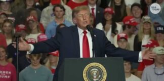 Trump Cheers Punch At Rally